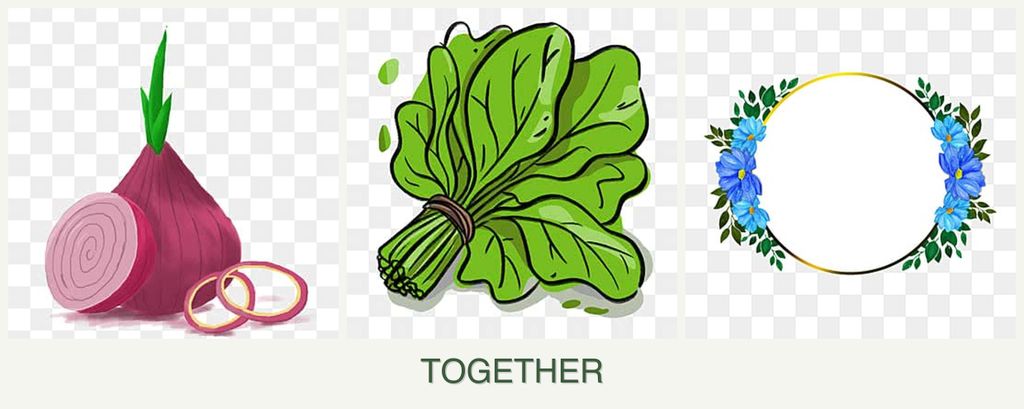 Can you plant onions, spinach and zinnias together?