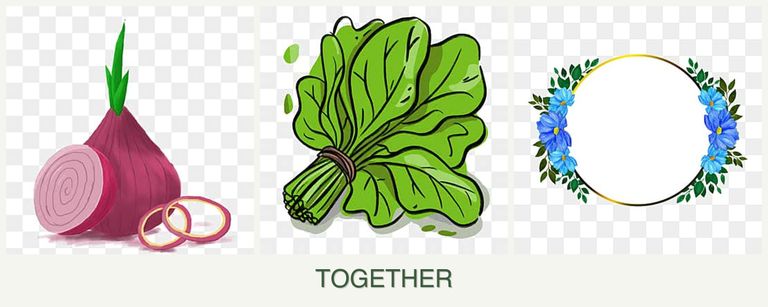 Can you plant onions, spinach and zinnias together?