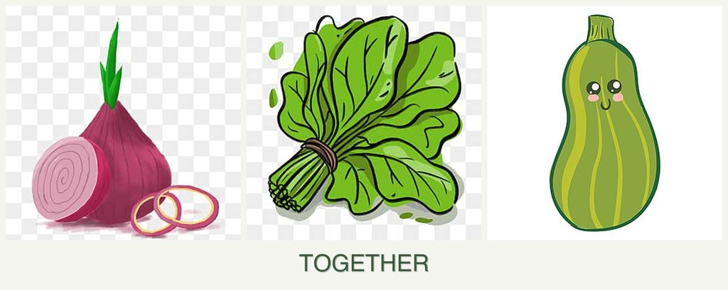 Can you plant onions, spinach and zucchini together?