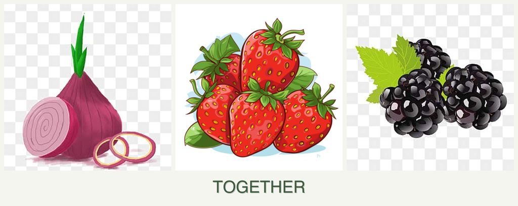 Can you plant onions, strawberries and blackberries together?