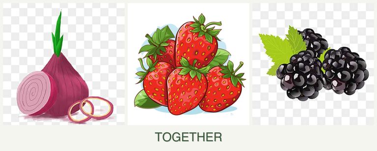 Can you plant onions, strawberries and blackberries together?