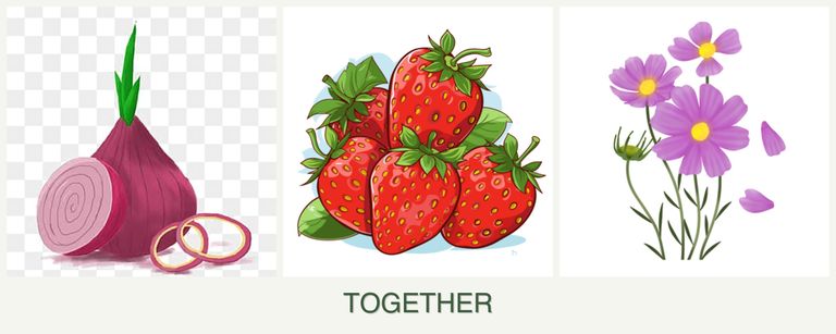 Can you plant onions, strawberries and cosmos together?