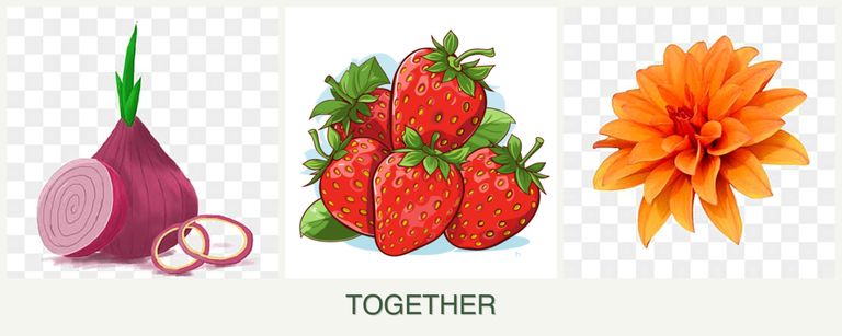 Can you plant onions, strawberries and dahlias together?