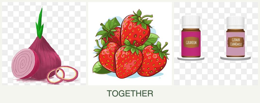 Can you plant onions, strawberries and geraniums together?