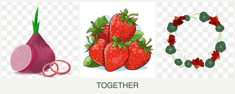 Can you plant onions, strawberries and nasturtiums together?