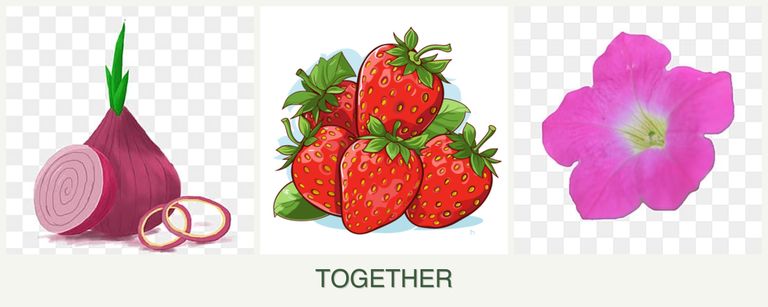 Can you plant onions, strawberries and petunias together?