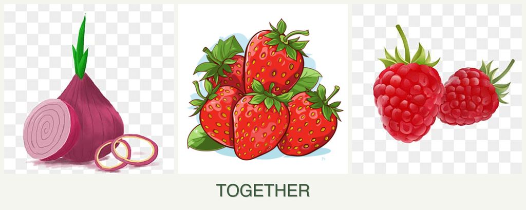 Can you plant onions, strawberries and raspberries together?