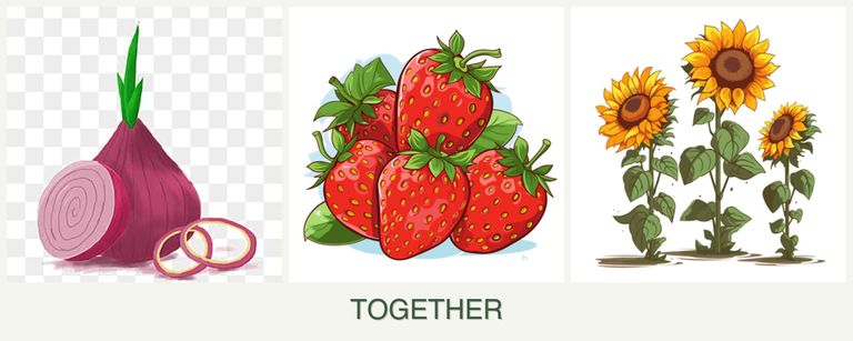Can you plant onions, strawberries and sunflowers together?