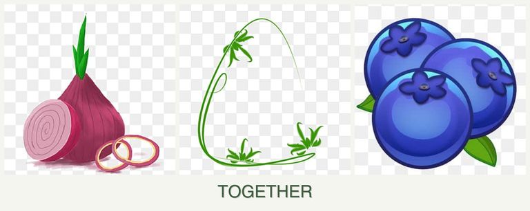 Can you plant onions, tarragon and blueberries together?