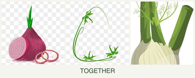 Can you plant onions, tarragon and fennel together?