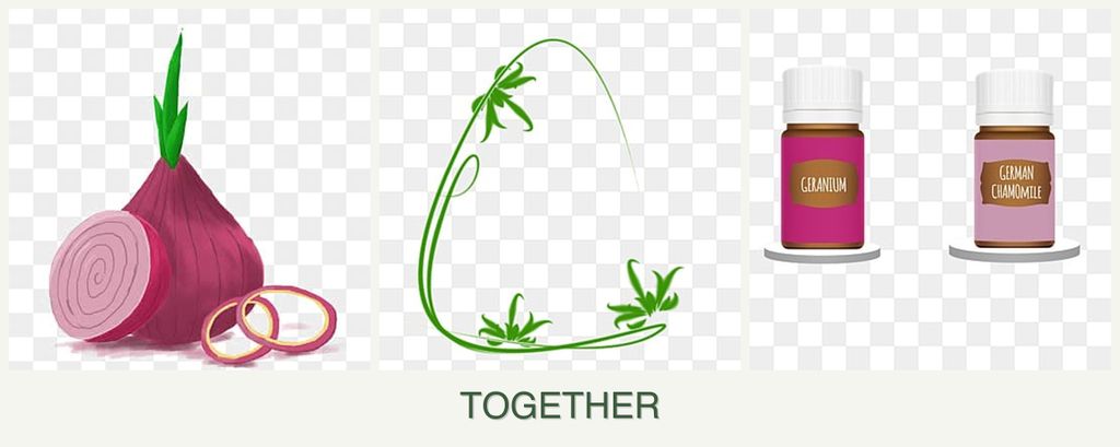 Can you plant onions, tarragon and geraniums together?