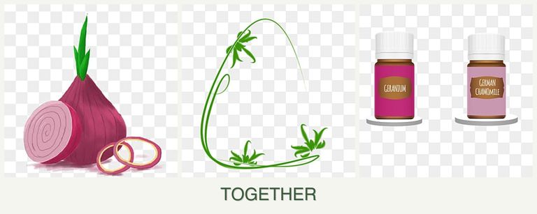 Can you plant onions, tarragon and geraniums together?