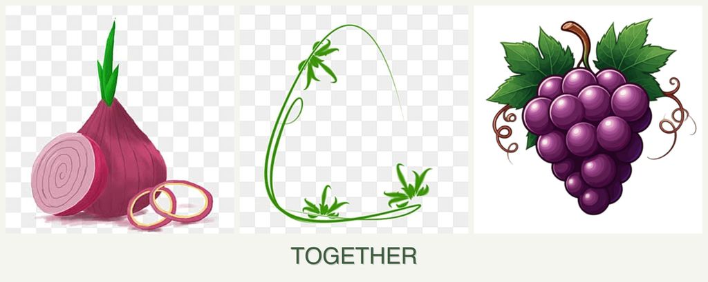 Can you plant onions, tarragon and grapes together?