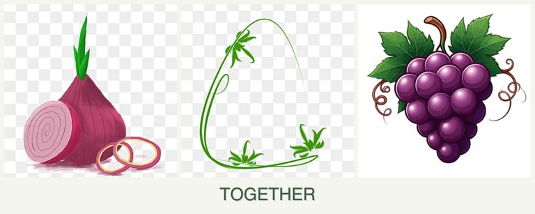 Can you plant onions, tarragon and grapes together?