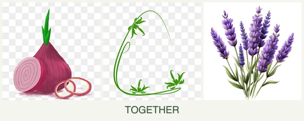 Can you plant onions, tarragon and lavender together?