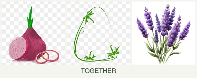 Can you plant onions, tarragon and lavender together?