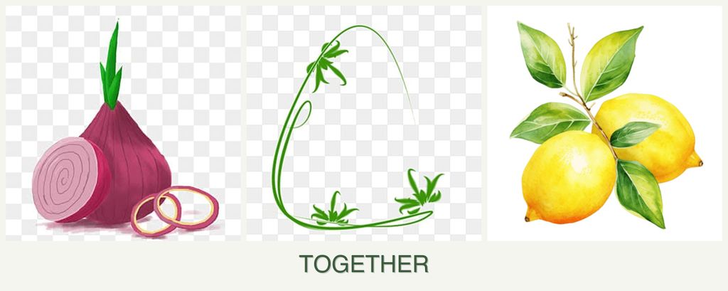 Can you plant onions, tarragon and lemons together?