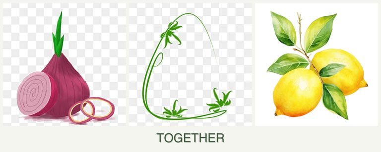 Can you plant onions, tarragon and lemons together?