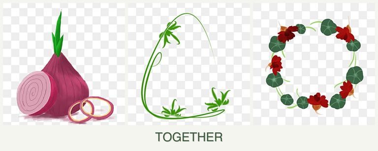 Can you plant onions, tarragon and nasturtiums together?
