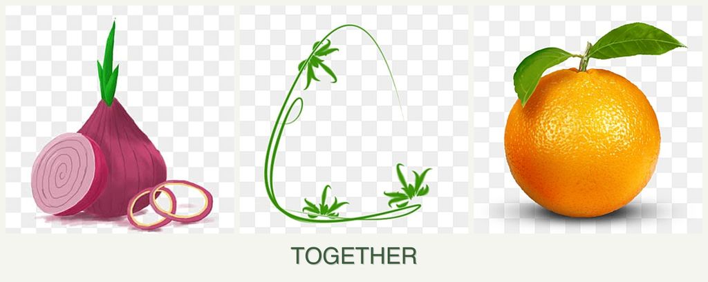 Can you plant onions, tarragon and oranges together?