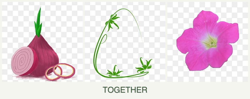 Can you plant onions, tarragon and petunias together?