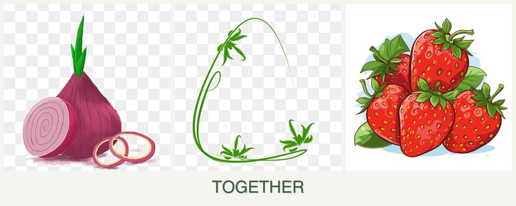 Can you plant onions, tarragon and strawberries together?