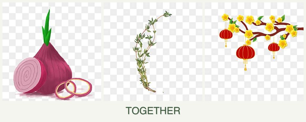 Can you plant onions, thyme and apricots together?