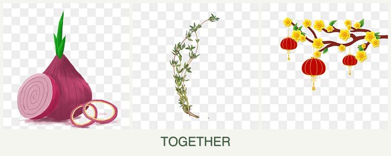 Can you plant onions, thyme and apricots together?