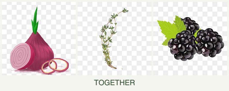 Can you plant onions, thyme and blackberries together?
