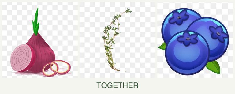 Can you plant onions, thyme and blueberries together?
