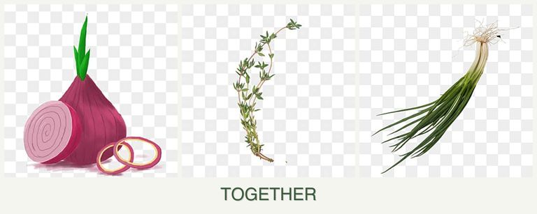 Can you plant onions, thyme and chives together?