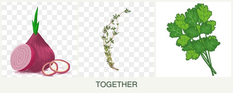 Can you plant onions, thyme and cilantro together?