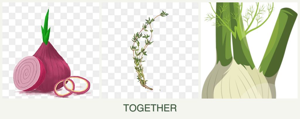 Can you plant onions, thyme and fennel together?