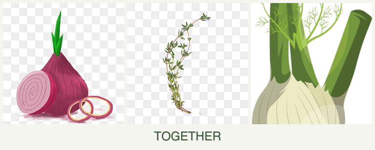 Can you plant onions, thyme and fennel together?