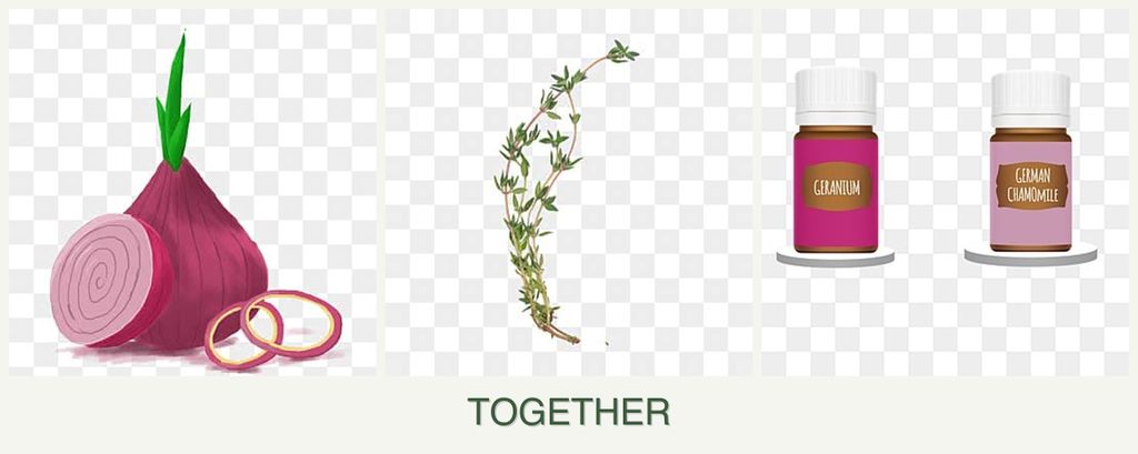 Can you plant onions, thyme and geraniums together?