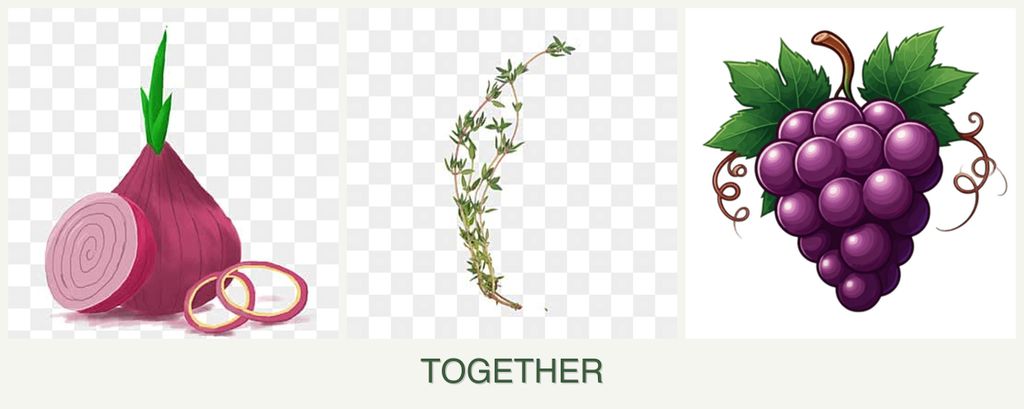 Can you plant onions, thyme and grapes together?