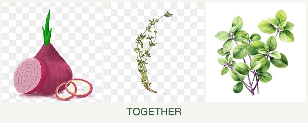 Can you plant onions, thyme and oregano together?