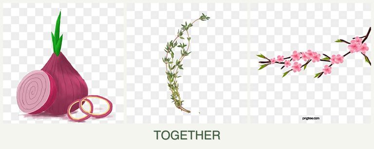 Can you plant onions, thyme and peaches together?