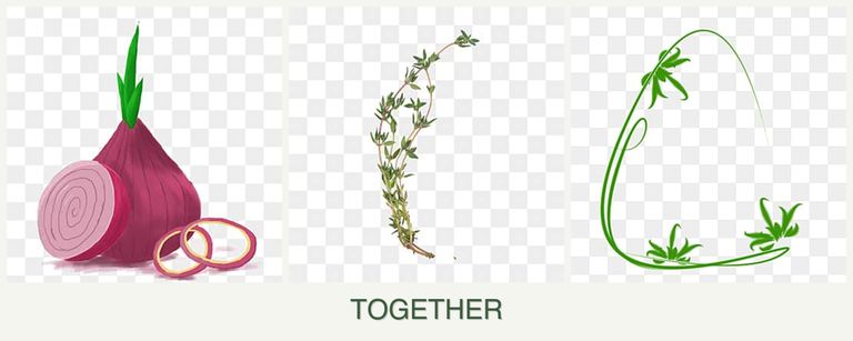 Can you plant onions, thyme and tarragon together?