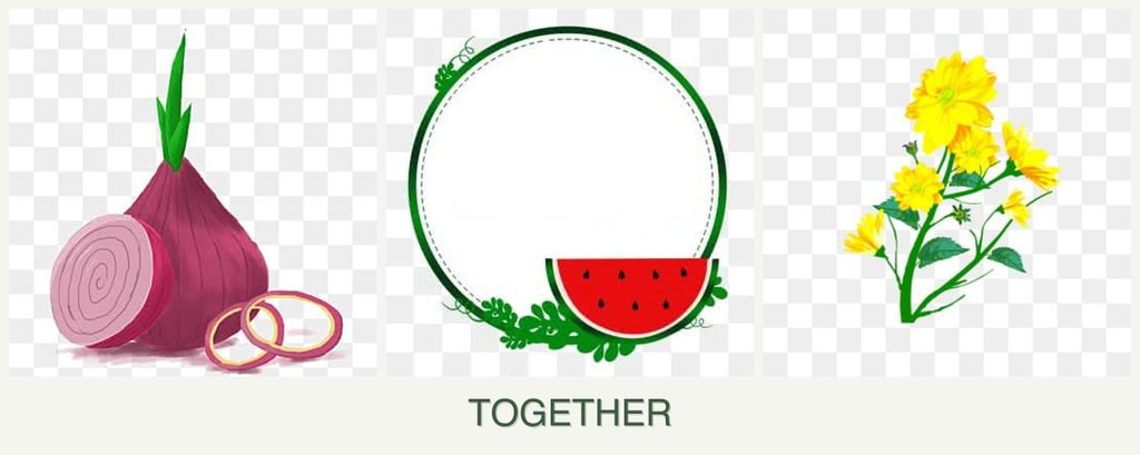 Can you plant onions, watermelons and calendula together?