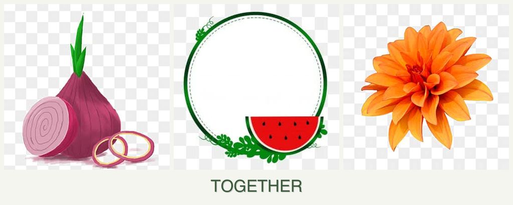 Can you plant onions, watermelons and dahlias together?