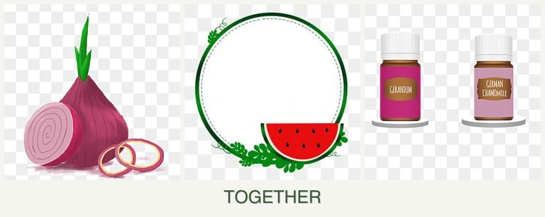 Can you plant onions, watermelons and geraniums together?