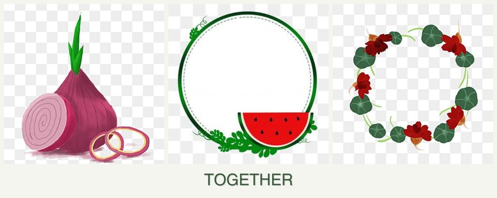 Can you plant onions, watermelons and nasturtiums together?