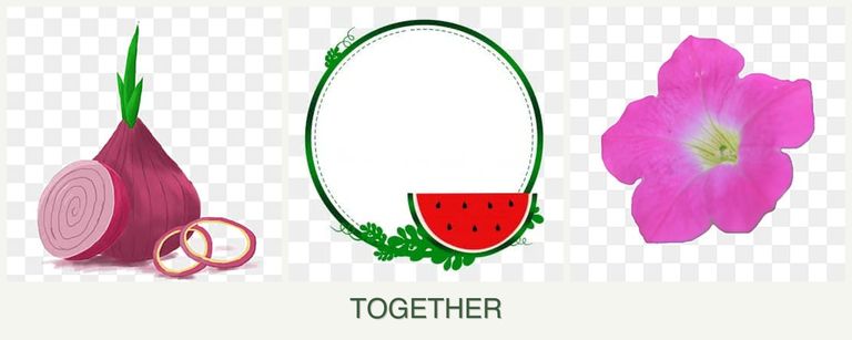 Can you plant onions, watermelons and petunias together?