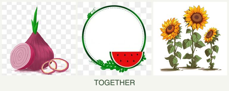Can you plant onions, watermelons and sunflowers together?