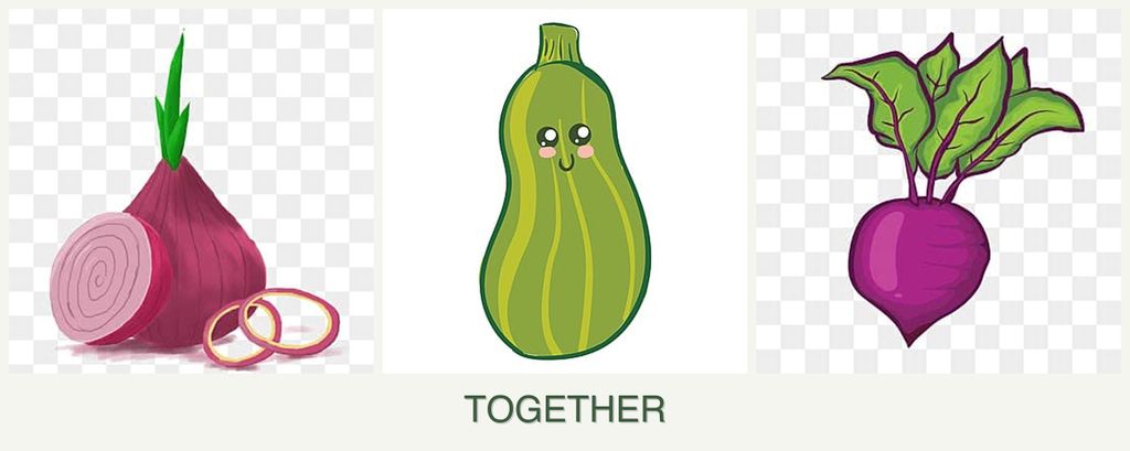 Can you plant onions, zucchini and beets together?