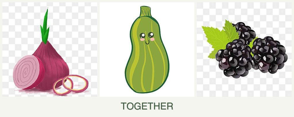 Can you plant onions, zucchini and blackberries together?