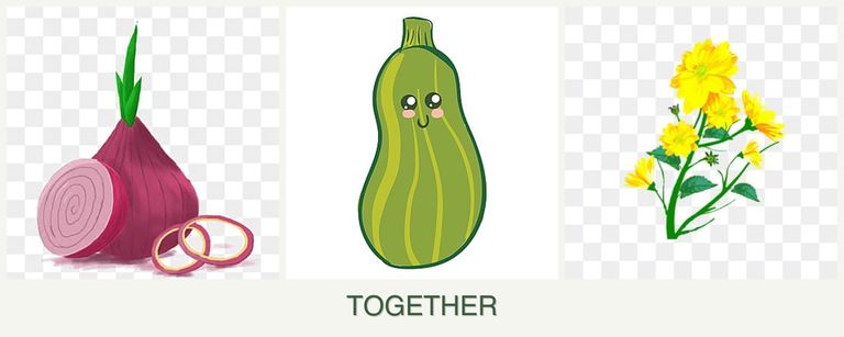 Can you plant onions, zucchini and calendula together?