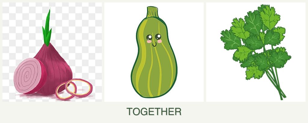 Can you plant onions, zucchini and cilantro together?