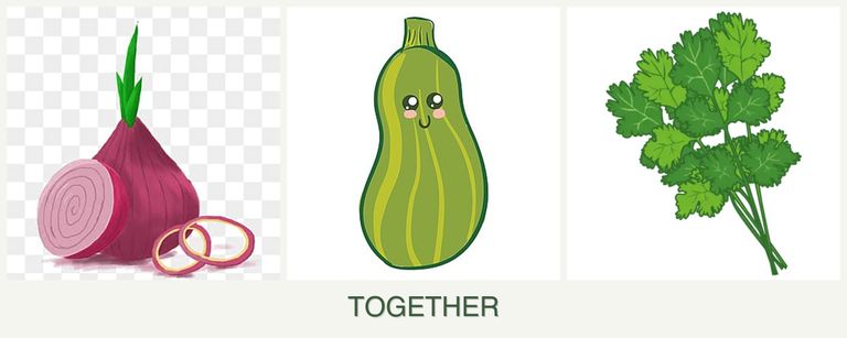 Can you plant onions, zucchini and cilantro together?